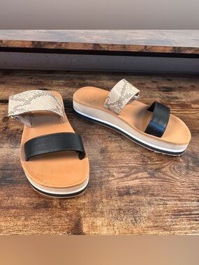 Cobian Platform Sandals Vira Rise Snake Print Slide Sandals Double Strap Size 10